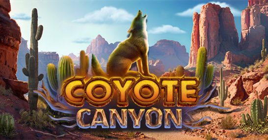 Coyote Canyon